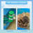 Versatile Hamster Cage with Multiple Play Features and User-Friendly Design