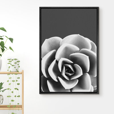 "IDÉE4WALL", reproduction d'art sur toile encadrée Lilypad, plante grasse, gros plan, photographie de plantes, art moderne, maison de campagne / campagne, noir et blanc foncé, pour le salon