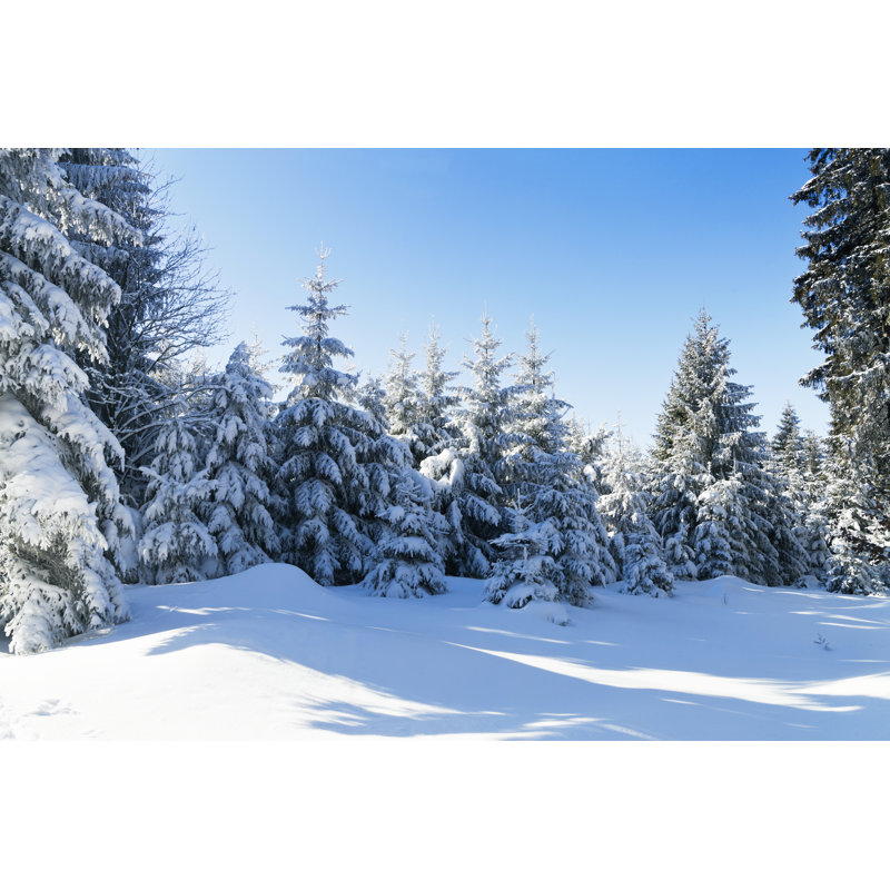 Winter Landscape by Kamisoka - No Frame Art Prints on Canvas, 20cm H x 30cm W