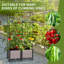 Raised Garden Bed Planter Box With Trellis,self Watering Planter With Wheels