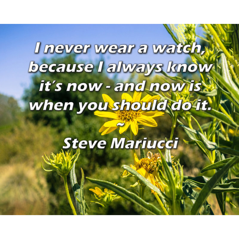 Toile tendue de la galerie ArtsyQuotes par Steve Mariucci: «Je ne porte jamais de montre, car je sais toujours que c'est maintenant - et c'est maintenant que vous devriez le faire.»