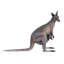 Statue kangaroo australienne outback