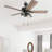 Briarcrest 52" Ceiling Fan with LED Light-1025018768