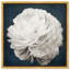 Floral et botanique, jolie vue II, impression d'art moderne sur toile pour le salon-479276826-433071623