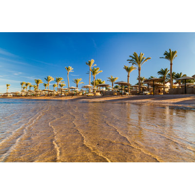 Palm Trees At Sunset. Egypt - Wrapped Canvas Print