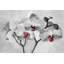 1 Piece Wrapped Canvas Painting-34311858