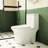 One Ceramic Toilet, White, 1.1/1.6 Flushing, Comfort Height 15.55 In, Soft Close Seat, & White , In Height, And