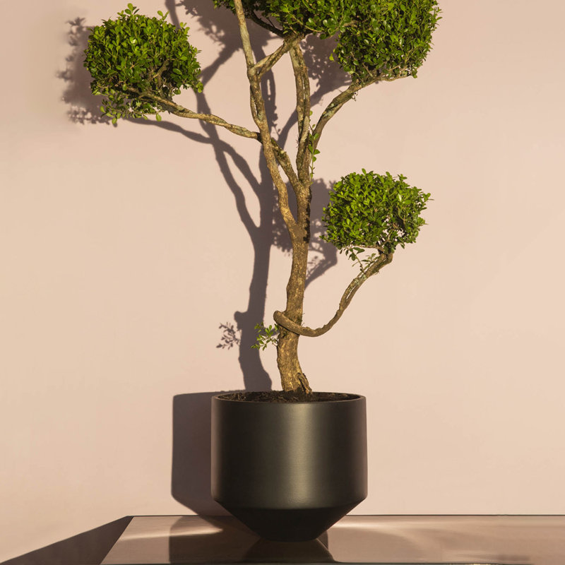 Handmade Ceramic Planter, White, 10.6" H x 11.8" W x 11.8" D