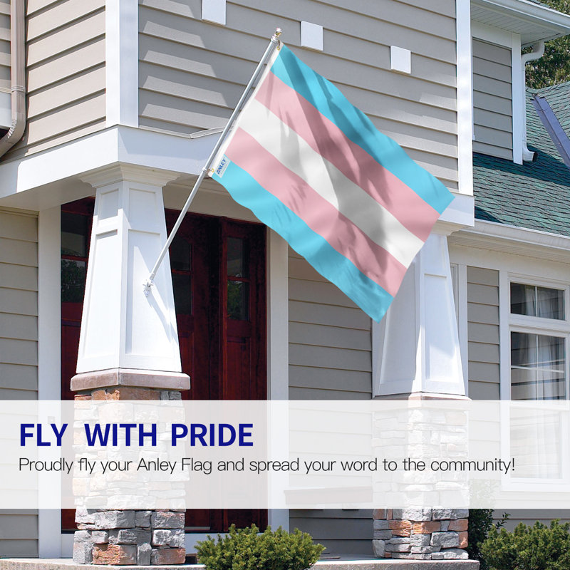 Drapeau de maison en polyester 36 x 60 po Transgender Pride Flag