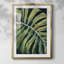 Nosturnal Monstera I-600300918-600300915