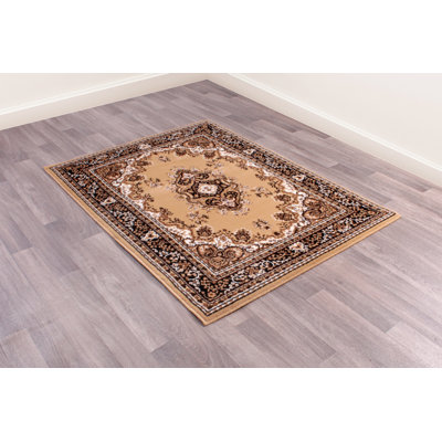 Nickelson Oriental Hand Woven Area Rug