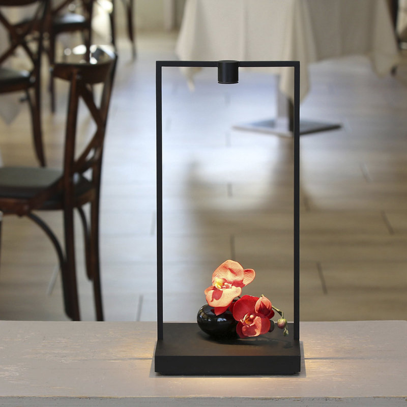 Curiosity LED Table Lamp, 120 Volt, 14"