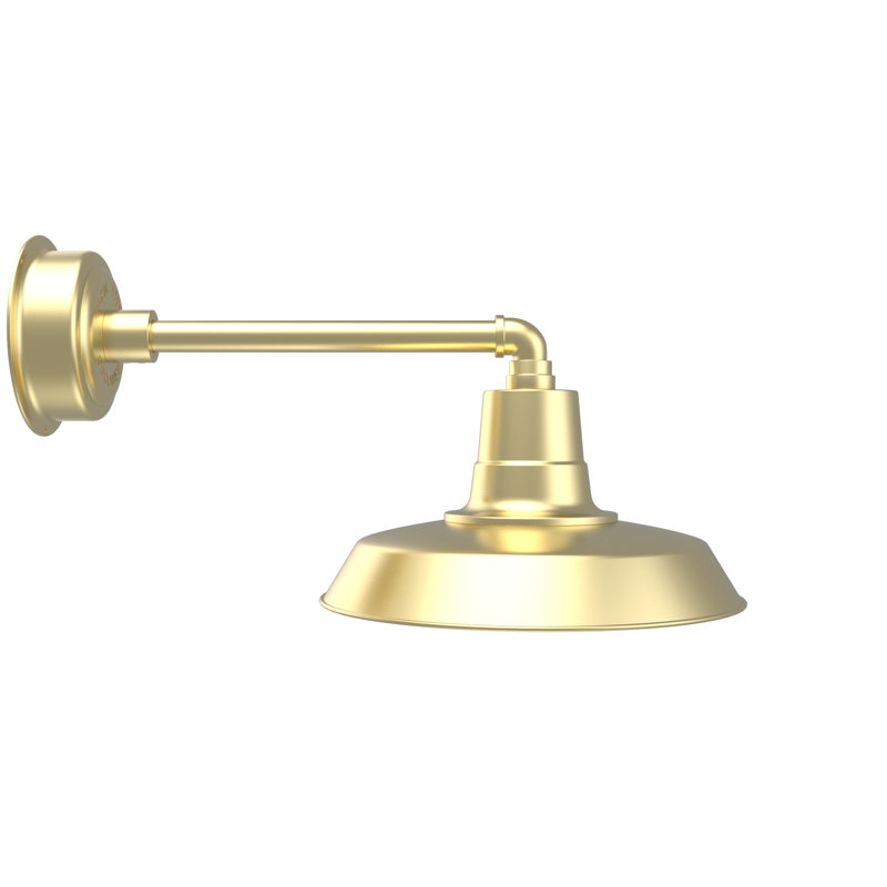 Luminaire de grange d'extérieur Haleigh, H 10,02 po x l 14 po x P 23,25 po, Bronze acajou