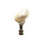 Faiteau de lampe en coquillage naturel-36759293
