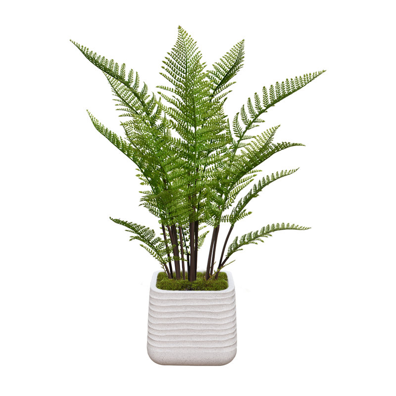 Fougère artificielle 48,57 "en pot, Blanc