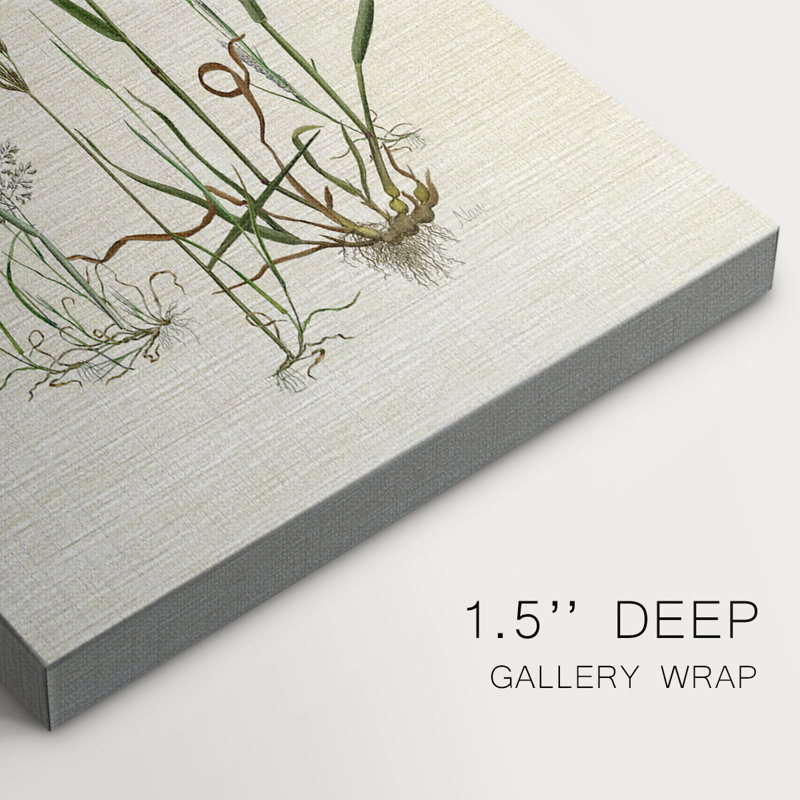 Lin Herbes II - Cavas enveloppés de galerie, H 18 po x l 12 po