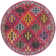 Isabea Performance Oriental Rug