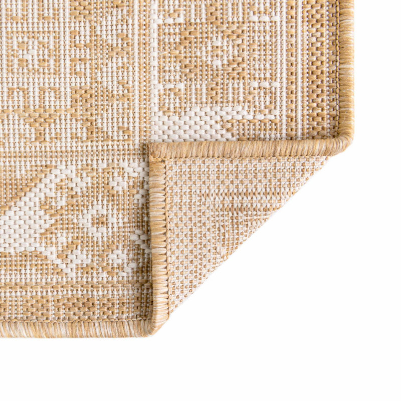 Danera Oriental Indoor / Outdoor Rug, Rectangle 2'2" x 3'