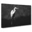Stork Bird - Wrapped Canvas Painting-56645667