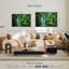 Jungle d'Alvord-107675797