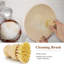 Senn Food Storage Container