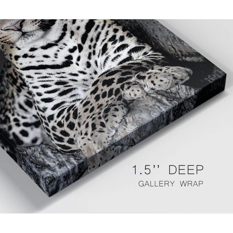 «African Leopard» par Danita Delimont - reproduction de photo sur toile tendue, H 48 po x l 36 po x P 1 po