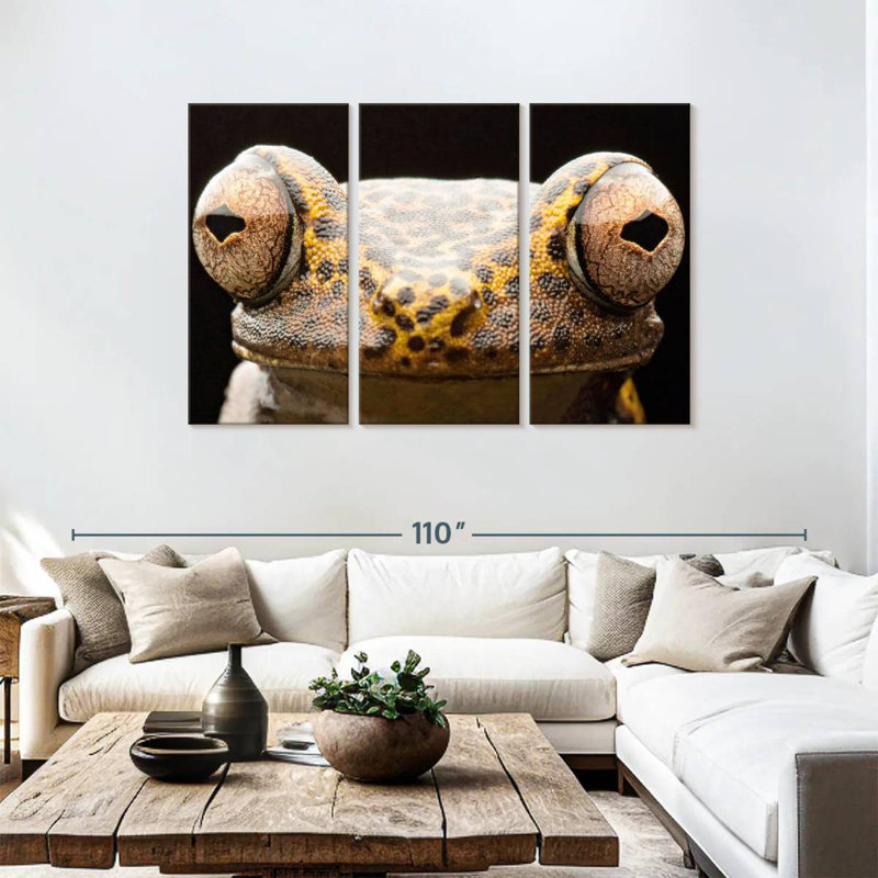 Brampt Tree Frog Eyes, 48" H x 74" W