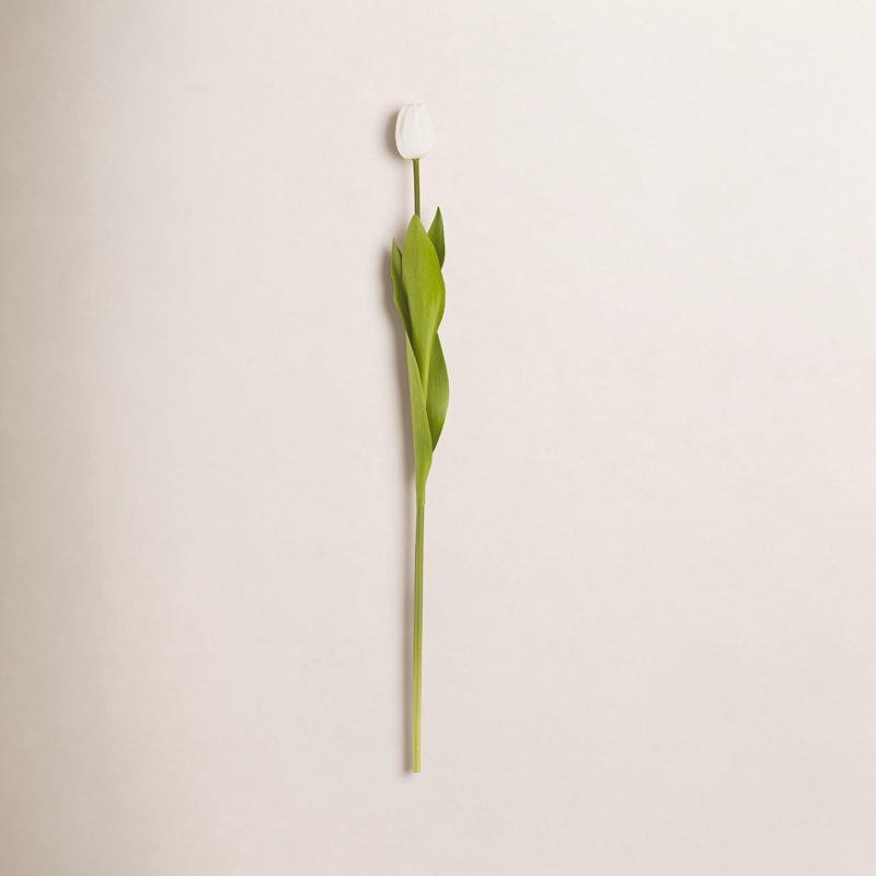 Ensemble de 12 tulipes tiges florales, Blanc