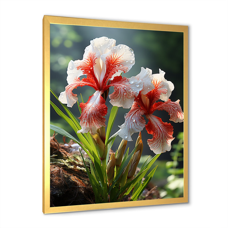 Iris Flower Meadows Grace In Forest - Iris, art mural, H 32 po x l 16 po x P 1 po, Cadre photo doré simple