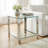 Schwenzer Glass Top End Table