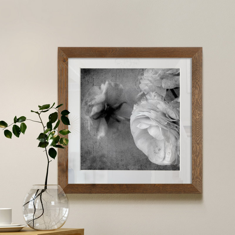 Renoncule foncé II - cadre photo, H 36 po x l 36 po x P 1 po, Toile encadrée érable, Blanc
