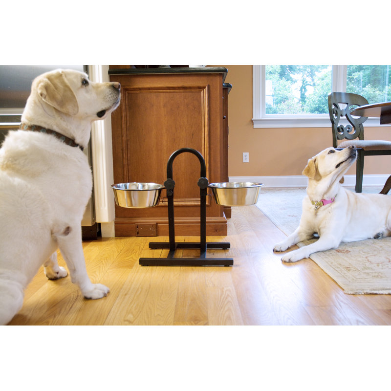 Diner pour animaux Dinahlee, 160 oz./20 tasses