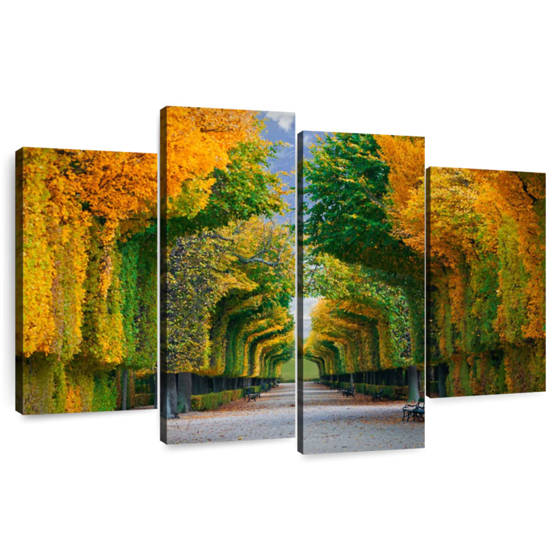 Alvord Autumn Tree Tunnel