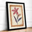 Burgundy Study Botanical - Framed Print-1719304216-1719304222