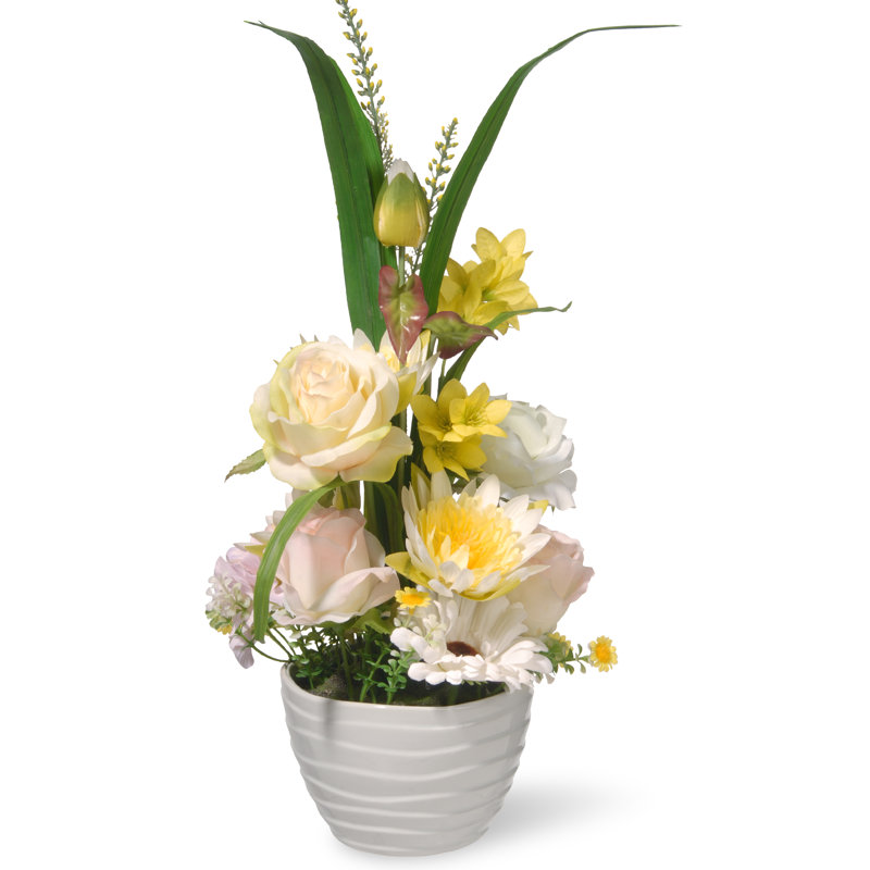 17 po marguerite en pot et fleurs roses