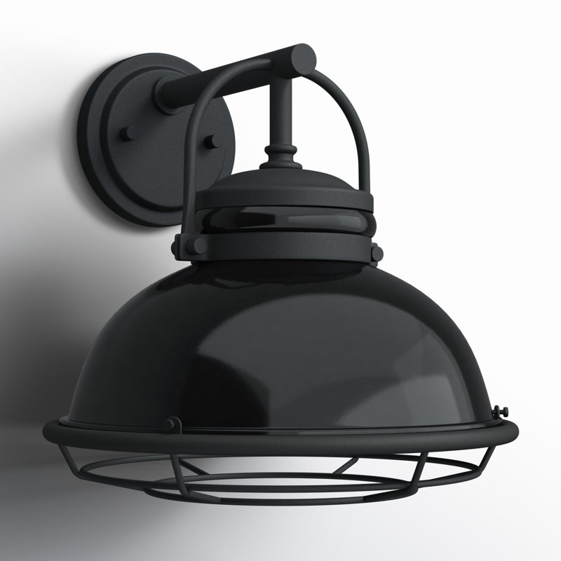 Luminaire de grange d'extérieur à 1 ampoule Ankur, H 12 po x l 12 po x P 13 po, Noir lustré / argenté, Noir