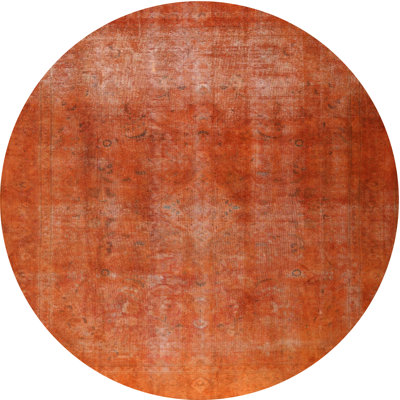 Ahylin Oriental Indoor Rug