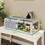 Wooden Tortoise House with Lamp Holder Clear Windows Openable Tops