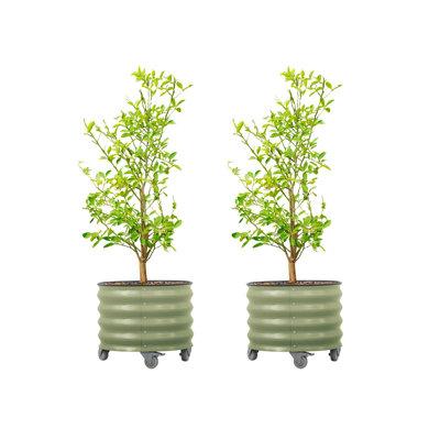 Pot à fleurs 17,5 "de hauteur et 21" de largeur