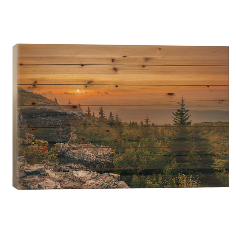 Bear Bears Sunrise I, H 18 po x l 26 po x P 1,5 po