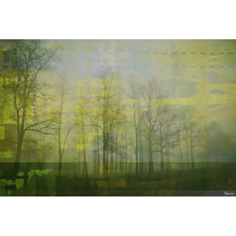 Parvez Taj - Wrapped Canvas Print, 61cm H x 91cm W