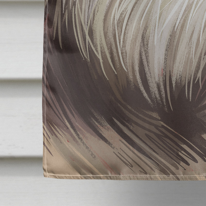 Polyester à 2 côtés 28 x 40 po drapeau maison, Petit chien lion