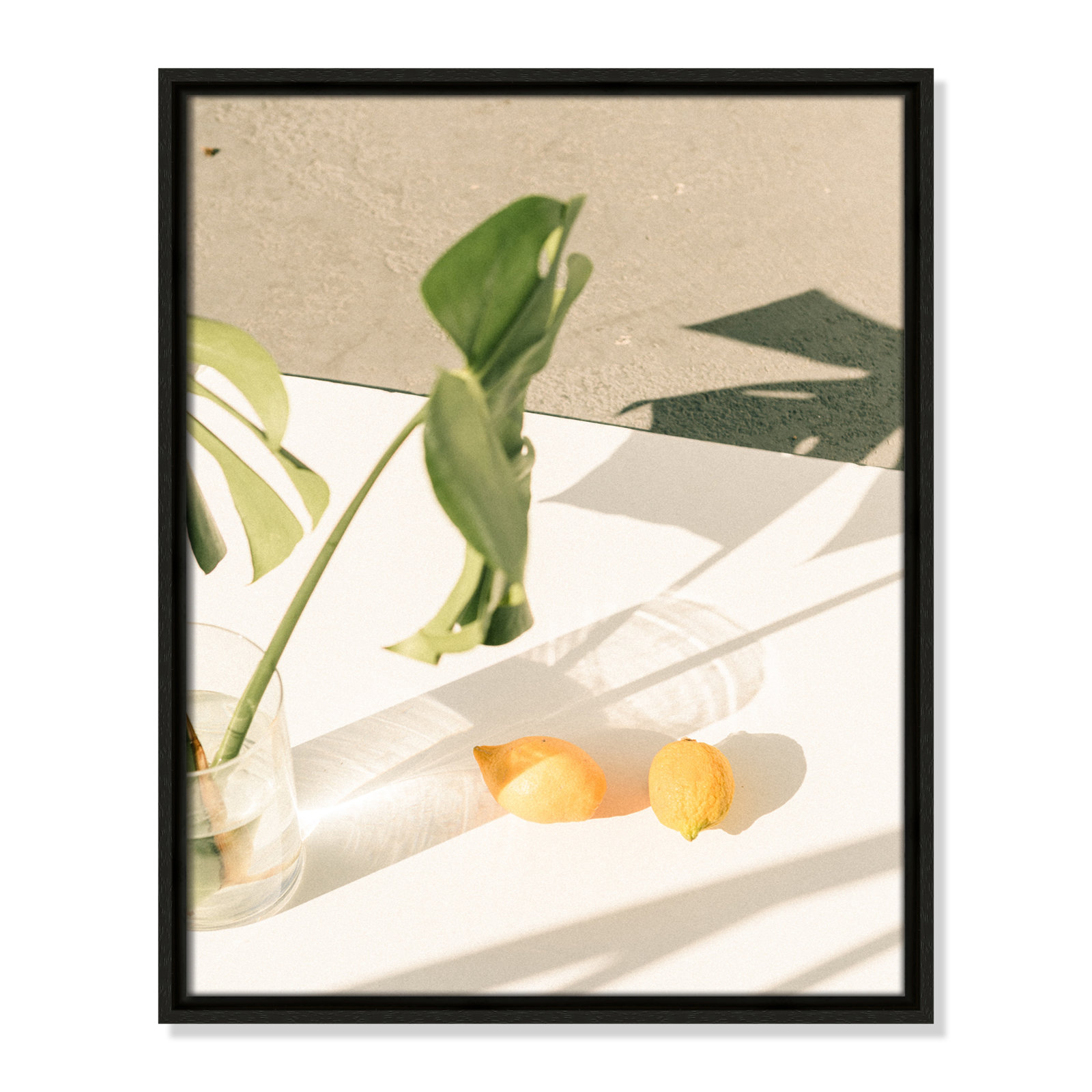 Citrus & Palms by Chandra Oh, Espresso Framed, 21.5'' H x 17.5'' W x 2'' D