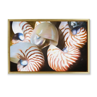  «Nautilus Shells Cluster», toile flottante encadrée par Graffi *ee Studios