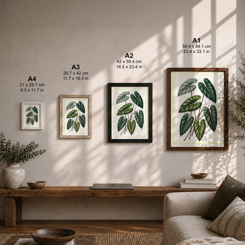 Leafy Study Botanical - Framed Print, A4 - 29.7 x 21.0 cm, Black