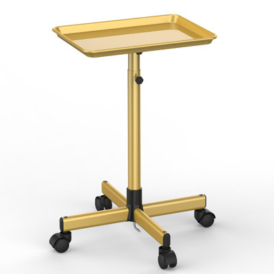Chariot utilitaire à roulettes H 42 po x l 18 po