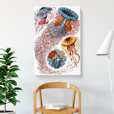 Jellyfish by Ernst Haeckel - Wrapped Canvas