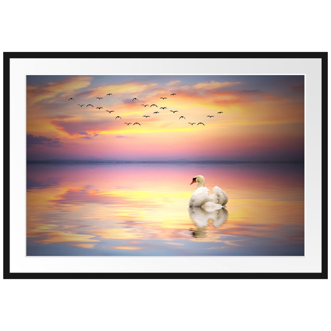 Gerahmtes Poster Schwan bei Sonnenuntergang