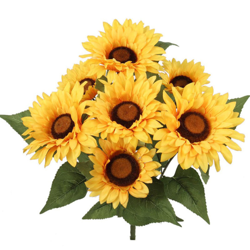 Rosenthal Daisy Arrangement