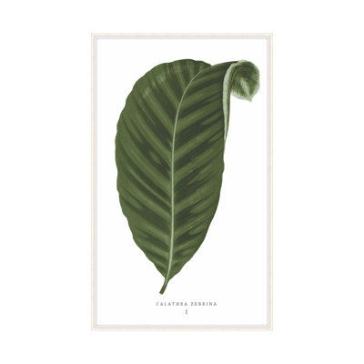 Green Trace 3 Framed Graphic Art